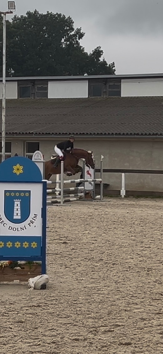 Líbivá ryzka na prodej - 5