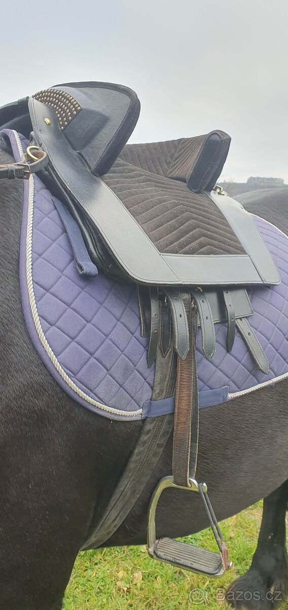 ČERNÉ BAROKNÍ SEDLO - 5