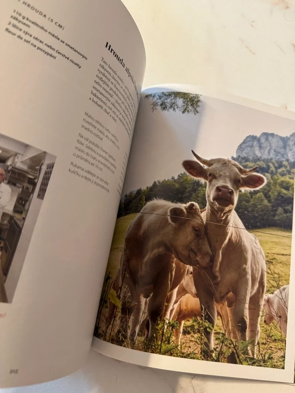 Zažít Alpy - Meredith Erickson - 5