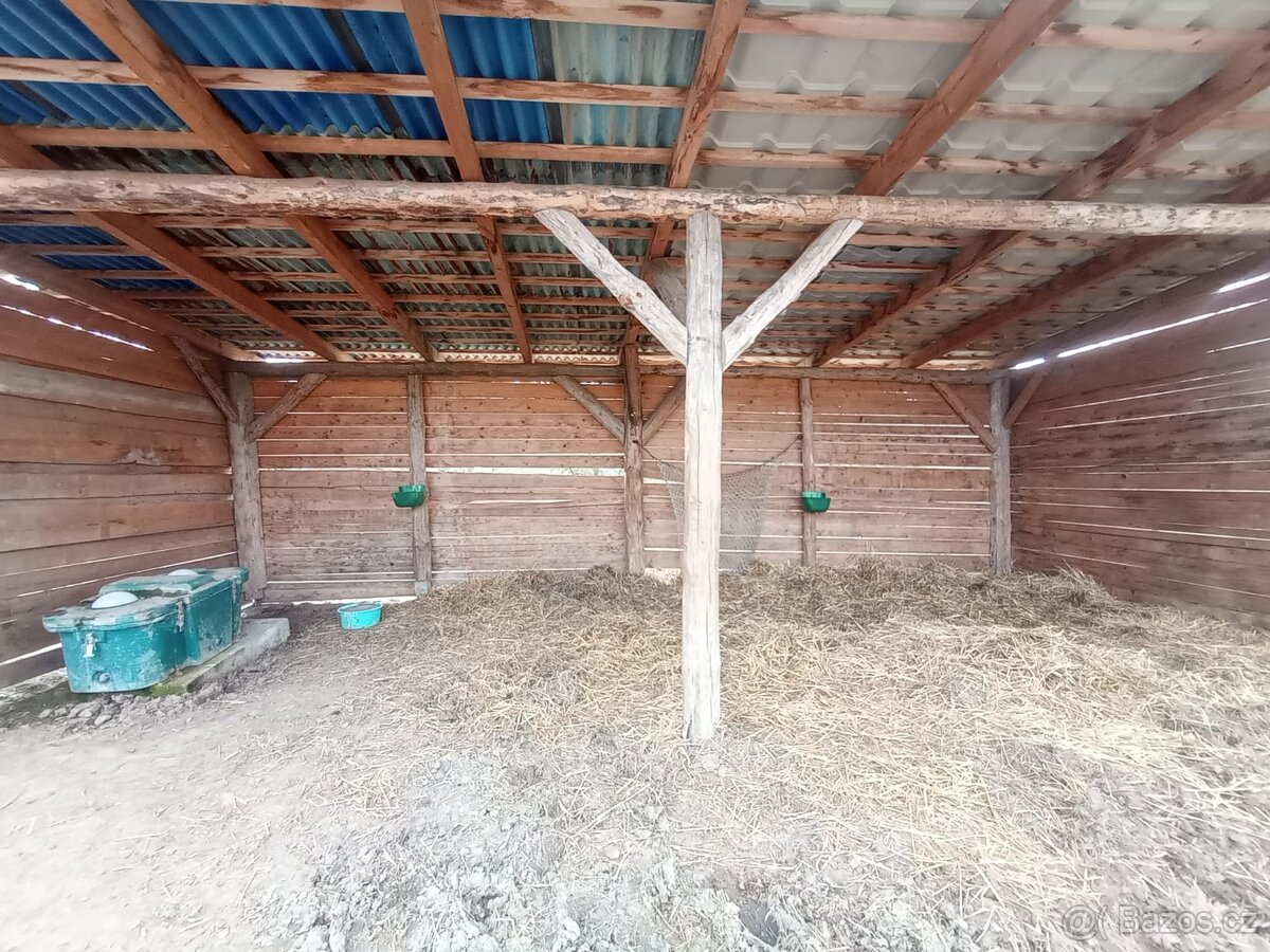 Pastevní ustájení - 5