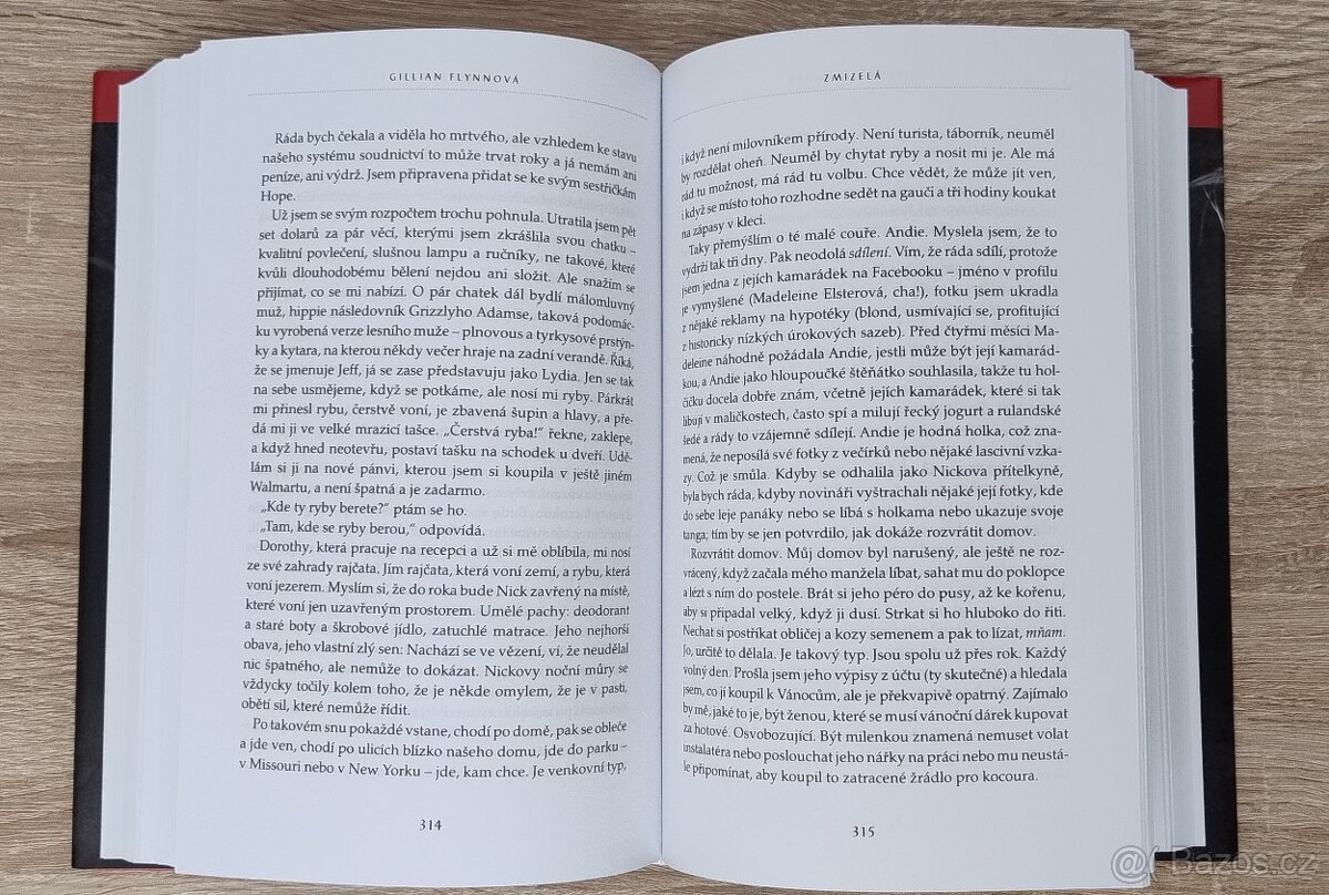 Zmizelá - Gillian Flynn - 5