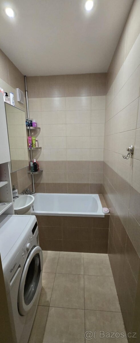 Pronajmu 1+1 na Košutce - 5