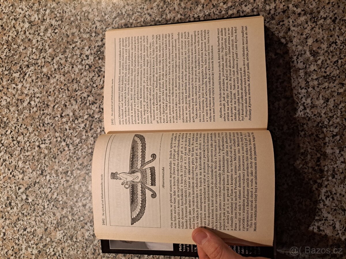 Královský pitaval: Kralovraždy ve světových dějinách - Ervín - 5