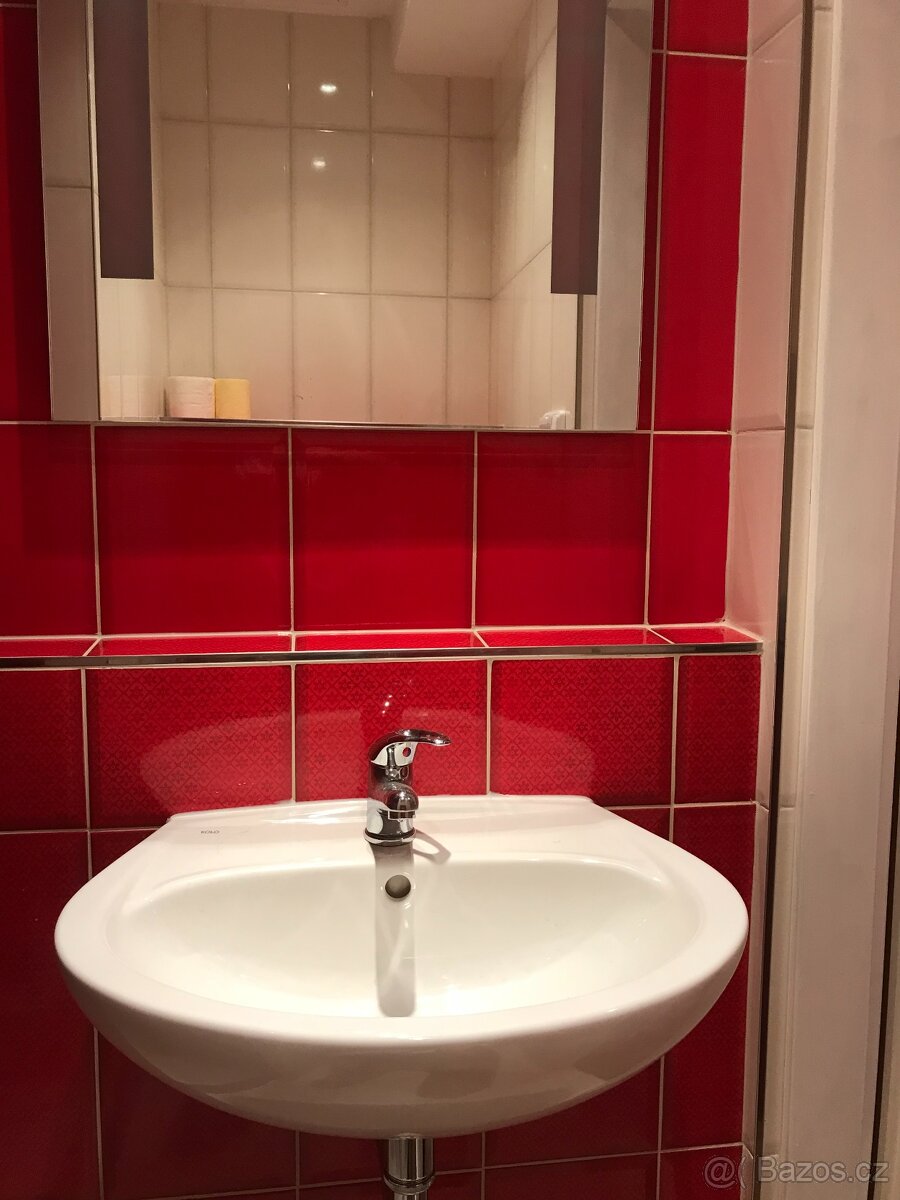 Prodej nebo pronájem prostoru v Luhačovicích - 5