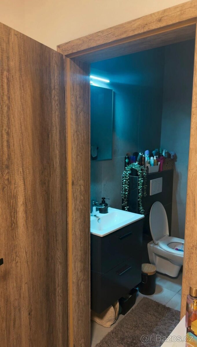 Pronajem bytu - 5