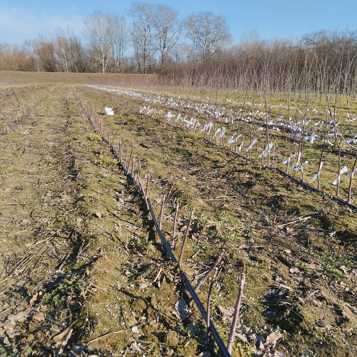 Hledáme Brigádu - 5