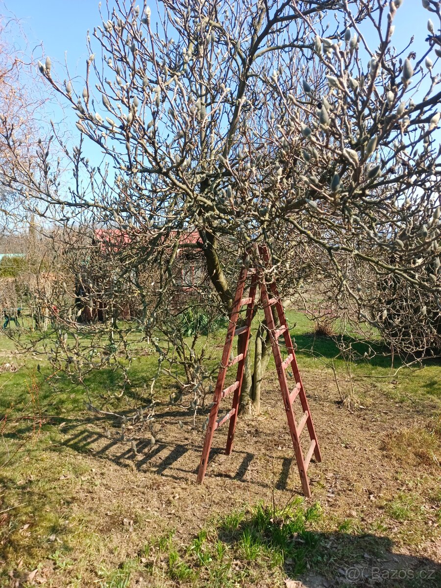 Zahrada s chatkou - 5