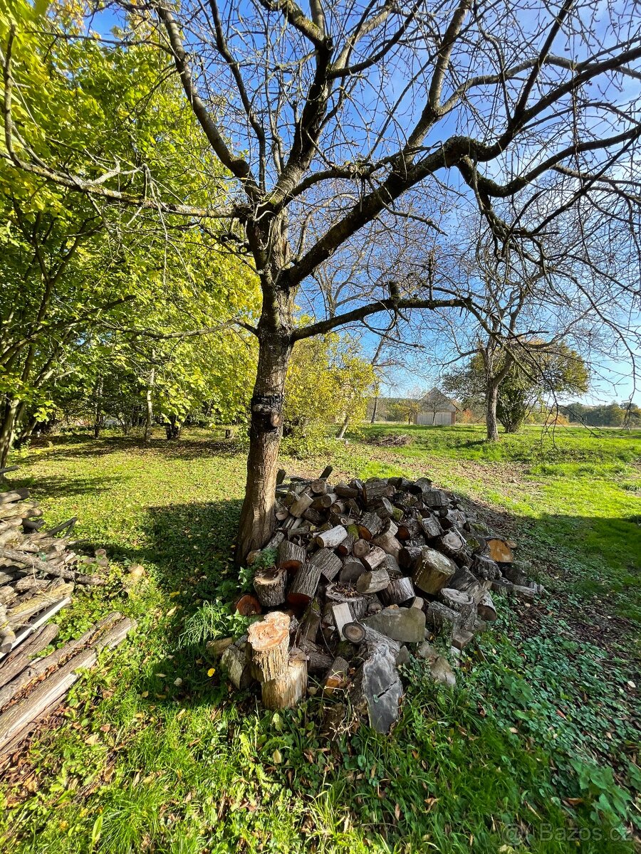 Rodinný dům s pozemkem a bývalou kovárnou – Troskovice - 5