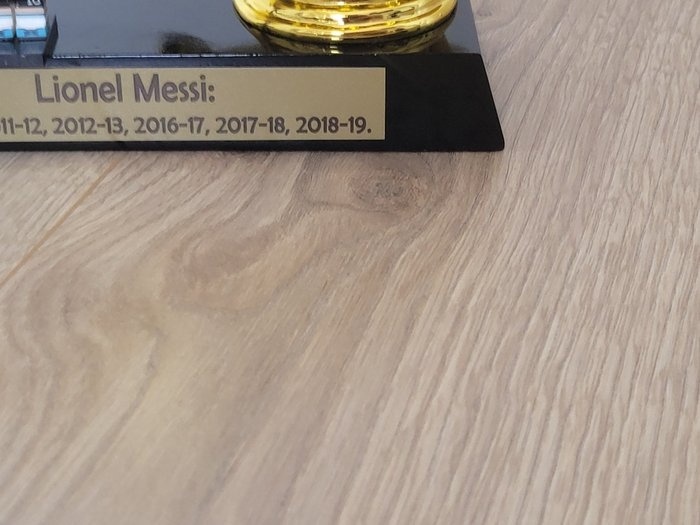 Lionel Messi - Zlatá kopačka + Lego figurka Messi Argentina - 5