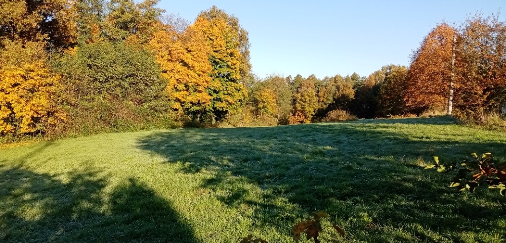 Petřvald 19 320 m2. - 5