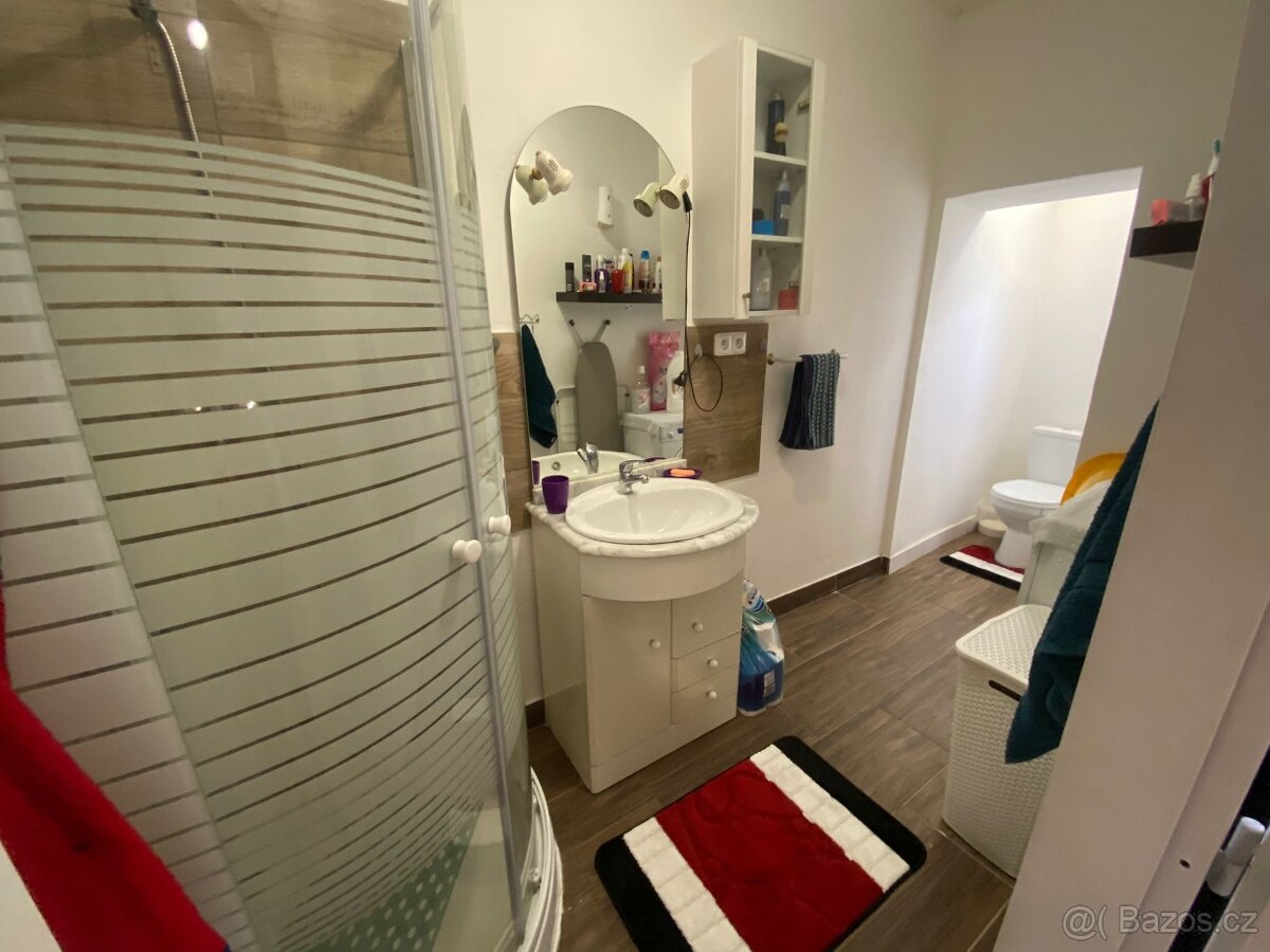 Pronajmu byt 2+1 s vlastní zahrádkou v Aši - 5