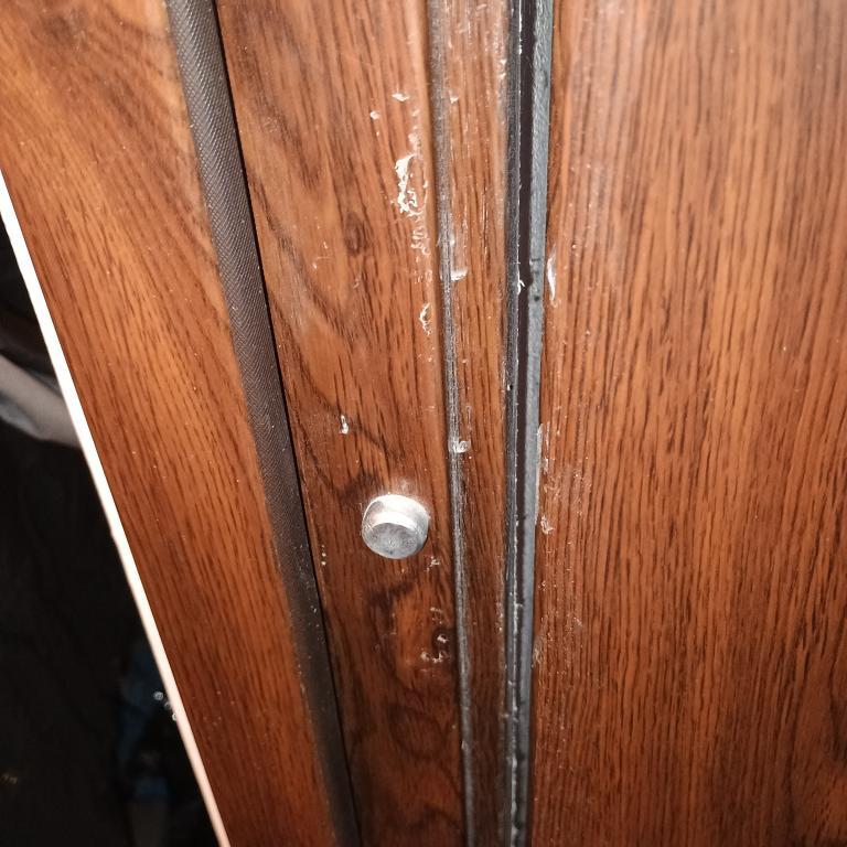 Vchodové bezpečnostní dveře - 5