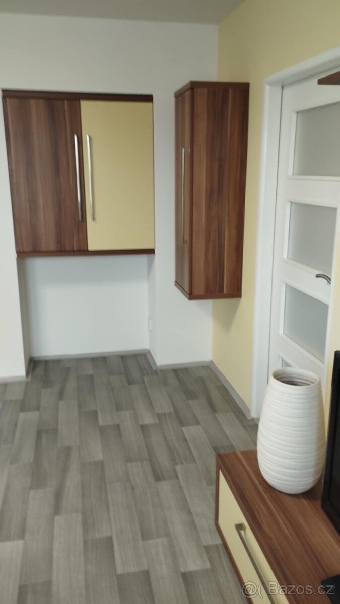 Pronajmu byt 2+1 v Bílovci - 5