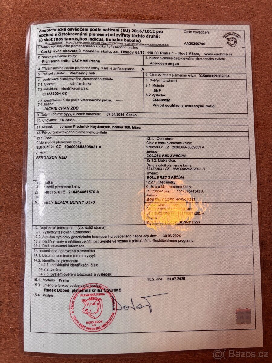 Aberdeen Angus Byk - 5