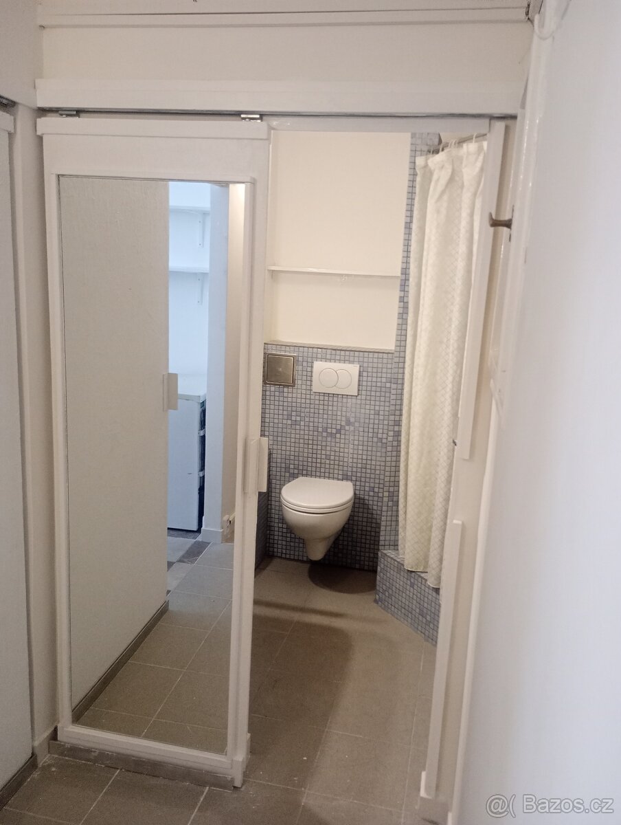 Suterenní garsonka - 5