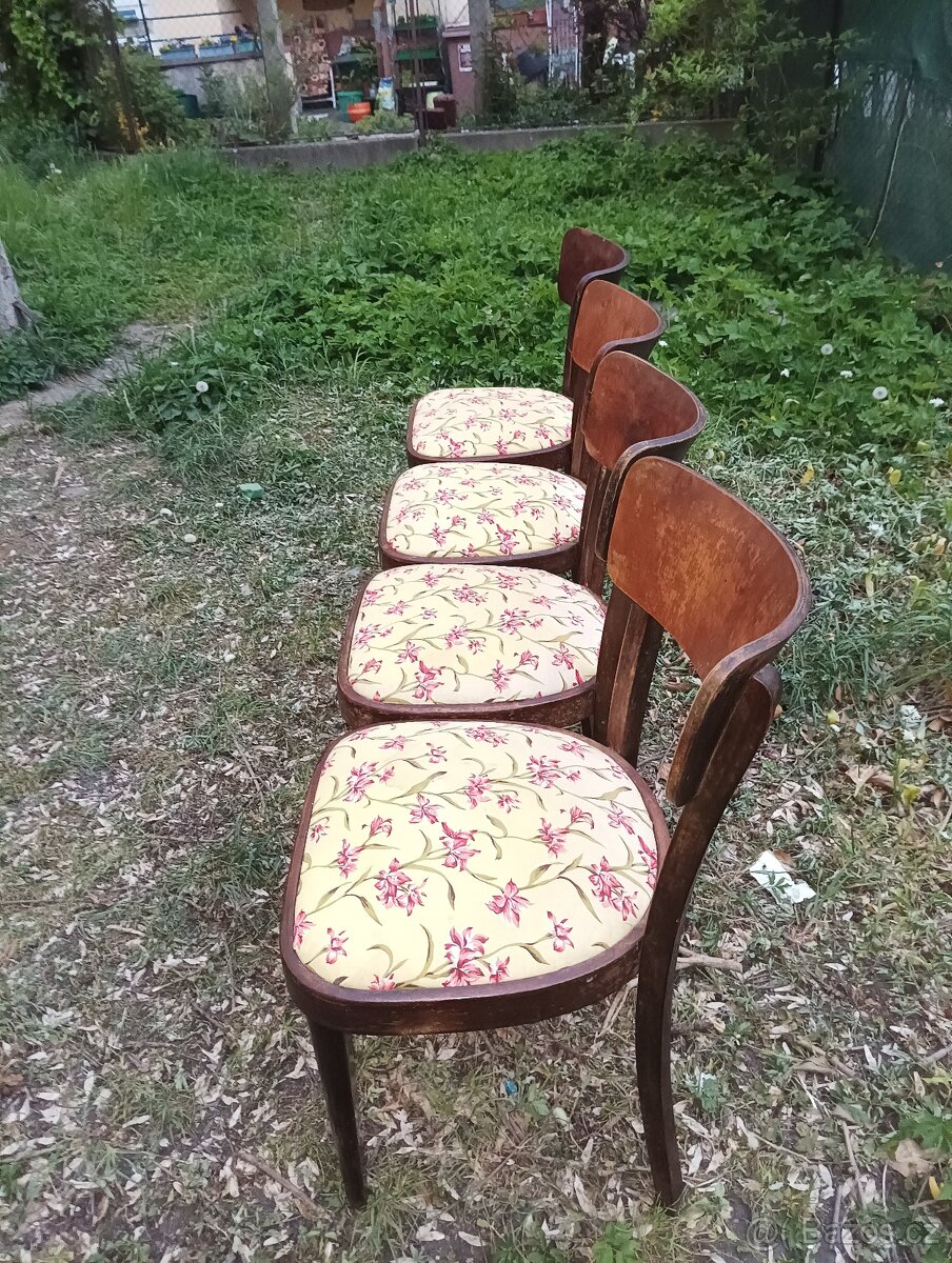 Židle - THONET - 5