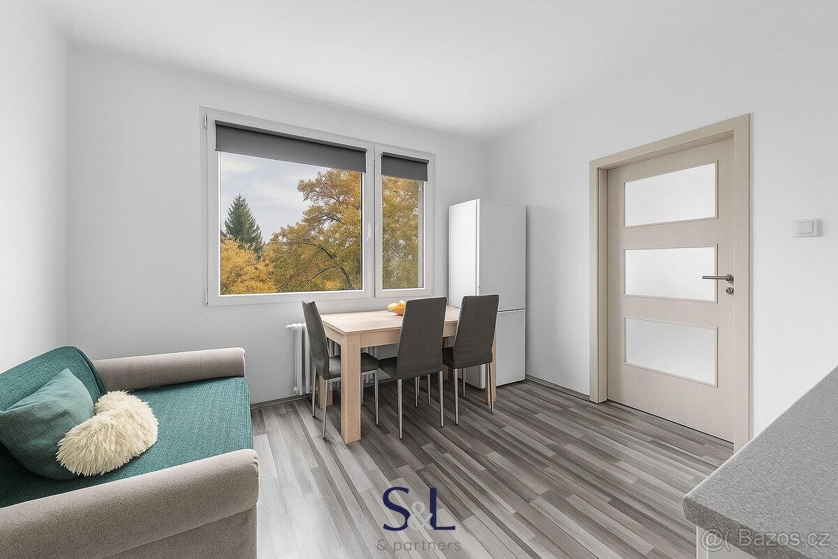 Prodej bytu 1+1 po kompletní rekonstrukci – ul. Boženy Němco - 5