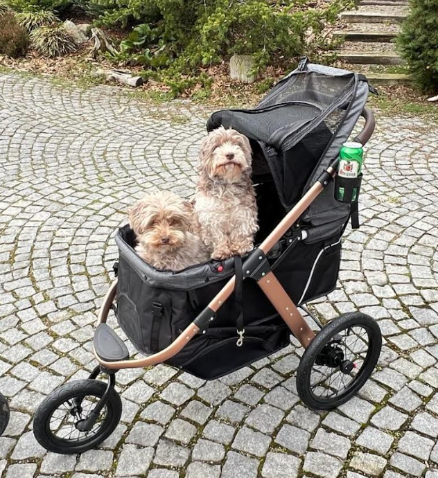 Kočárek pro psa do 23Kg PetBuggy - 5