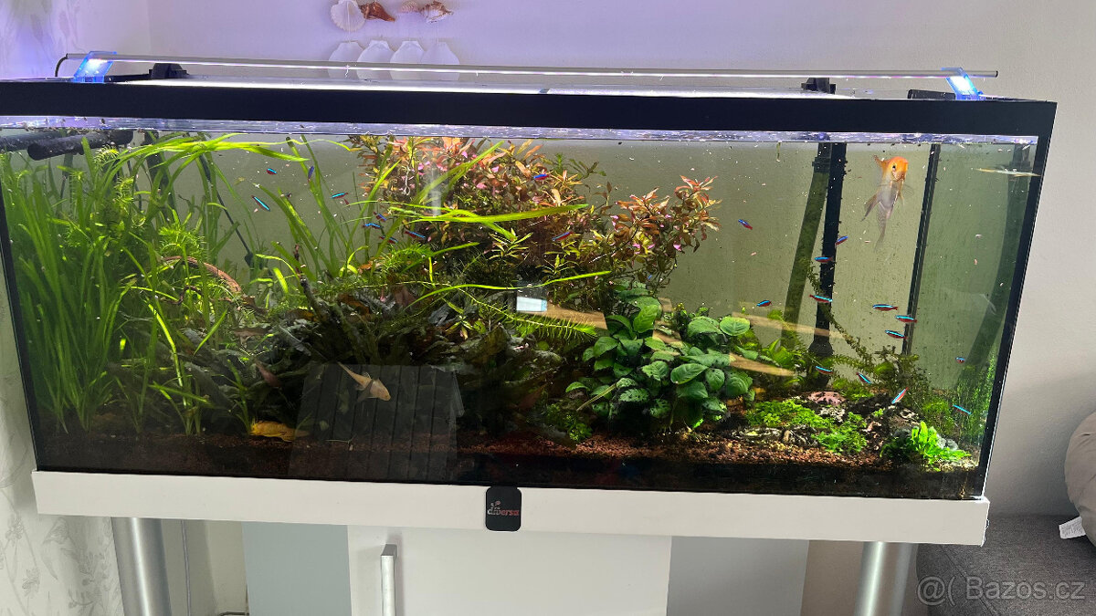 Akvarium se stolkem - 5