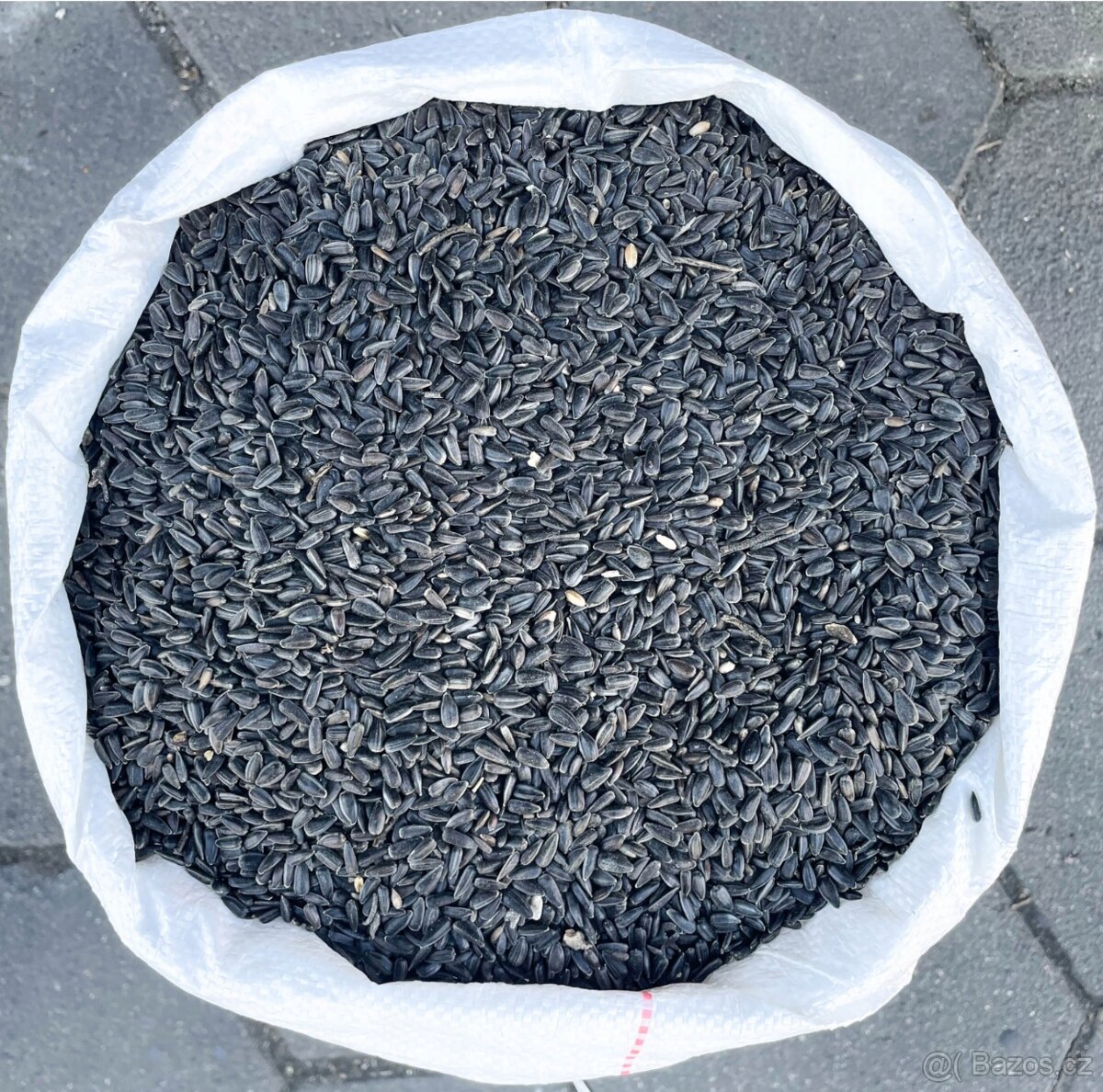 Kukuřice, Pšenice, Slunečnice - 5