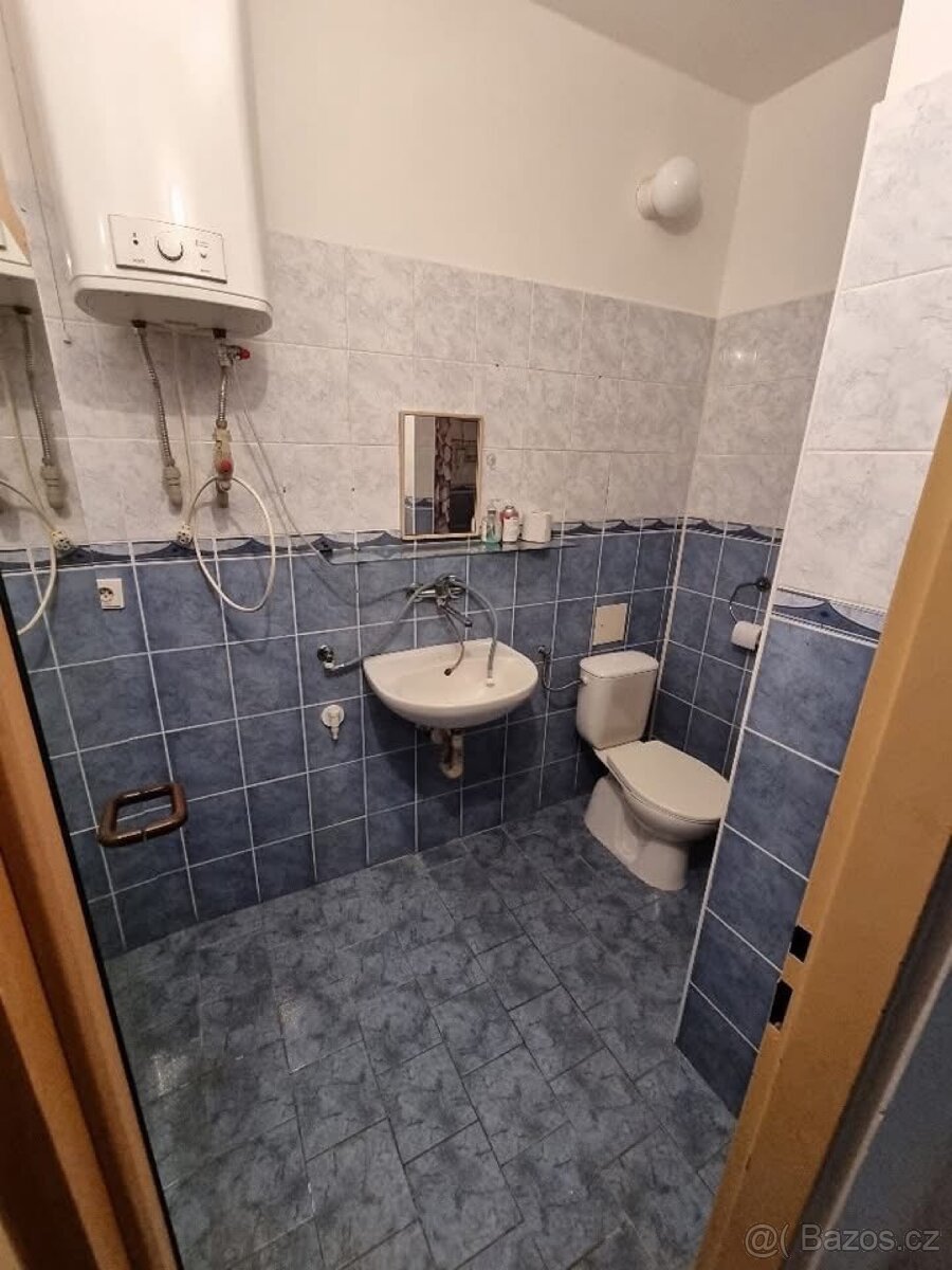 Pronájem bytu 1+1 - 5
