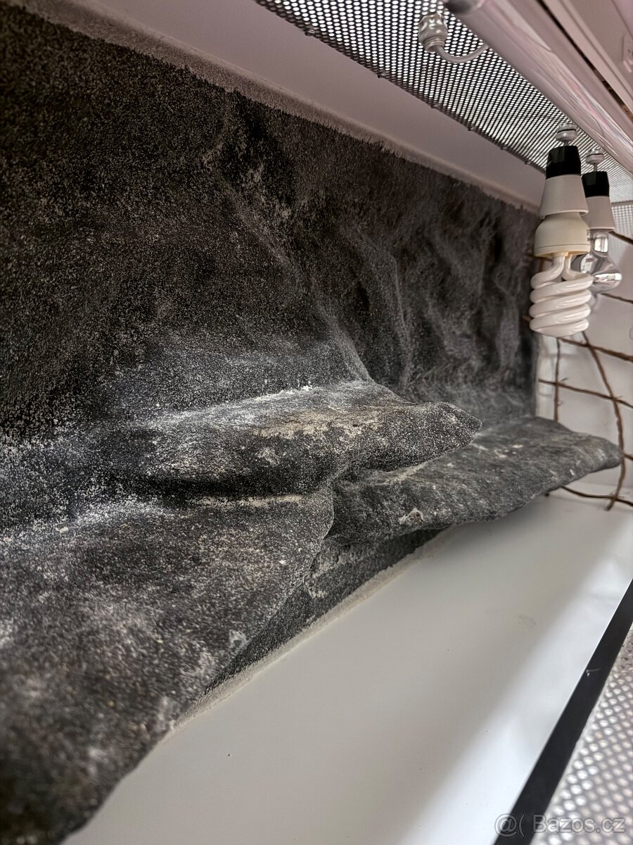 Zánovní terárium - 5