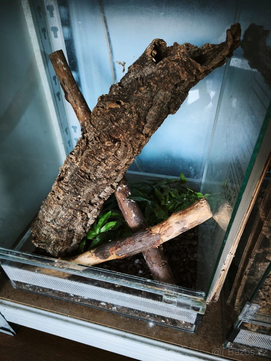 Prodám 2 ks Terária - 5