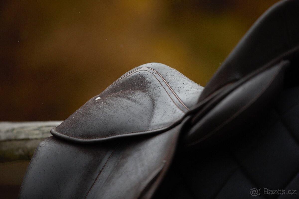 Drezurní Childéric 17,5 - 5