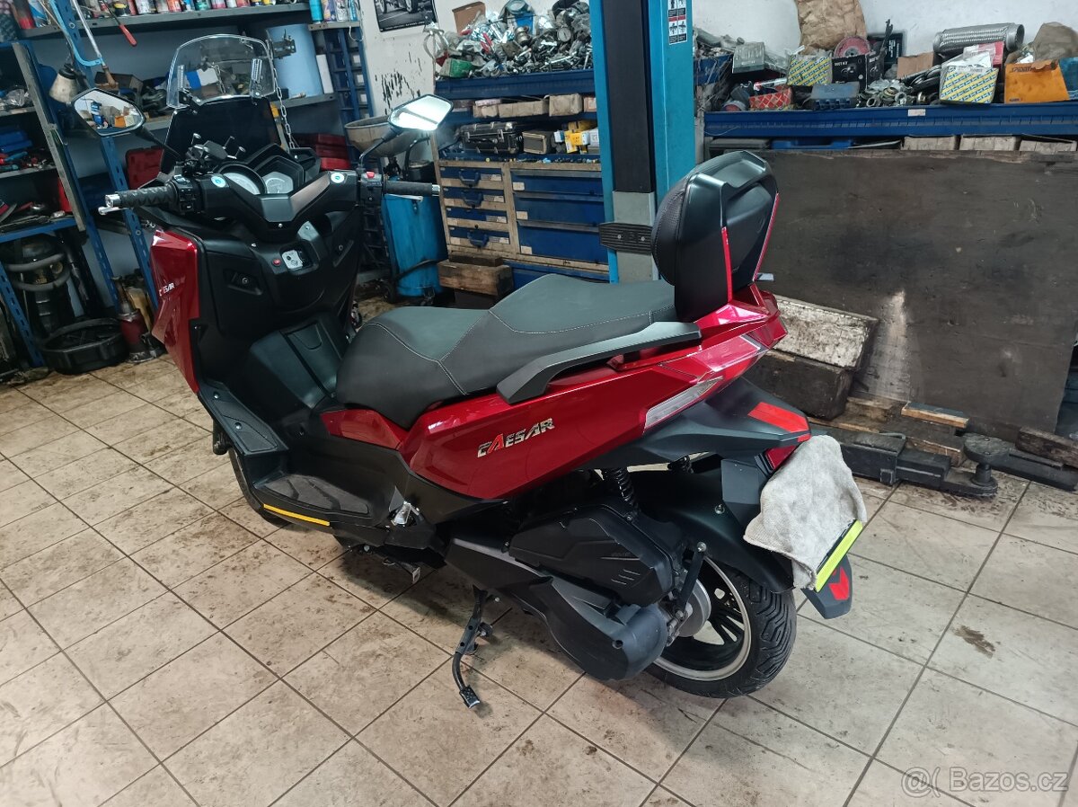 Maximus Caesar 125 - 5