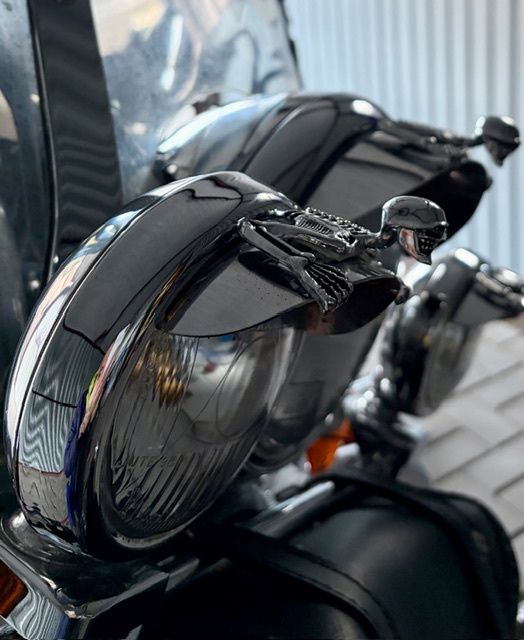 Kawasaki Vulcan VN800 - 5