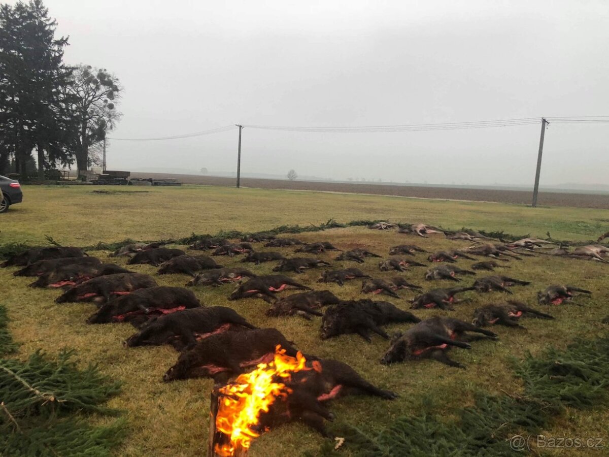 Polovačka v maďaesku - 5