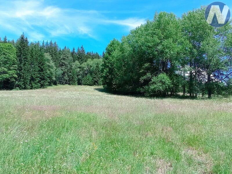 Černá Lada, pozemek s výměrou 22.888 m2 - 5