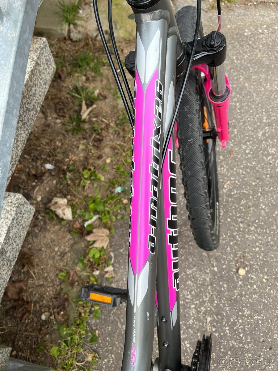 Author Matrix 26´ - 5