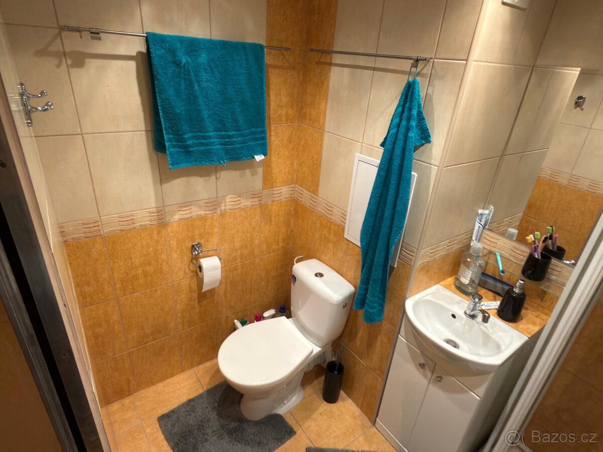 Pronájem bytu 1+kk HK - 5