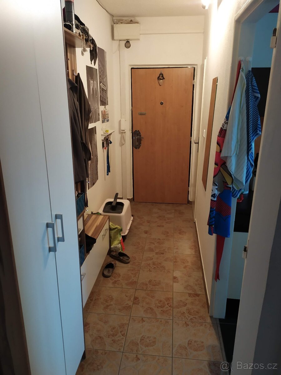 K pronájmu 2+1, Znojmo, MUDr. Jana Jánského, bez realitky - 5