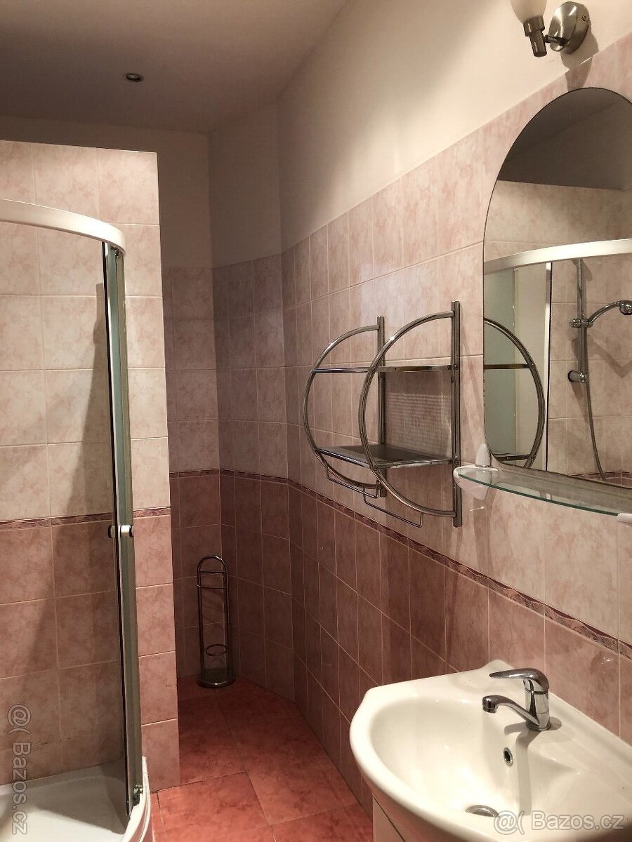 byt 1+1 43m2 Karlovy Vary, Drahovice - 5