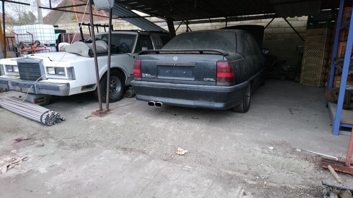 Opel Omega 3000 24V Dual Ram - 5