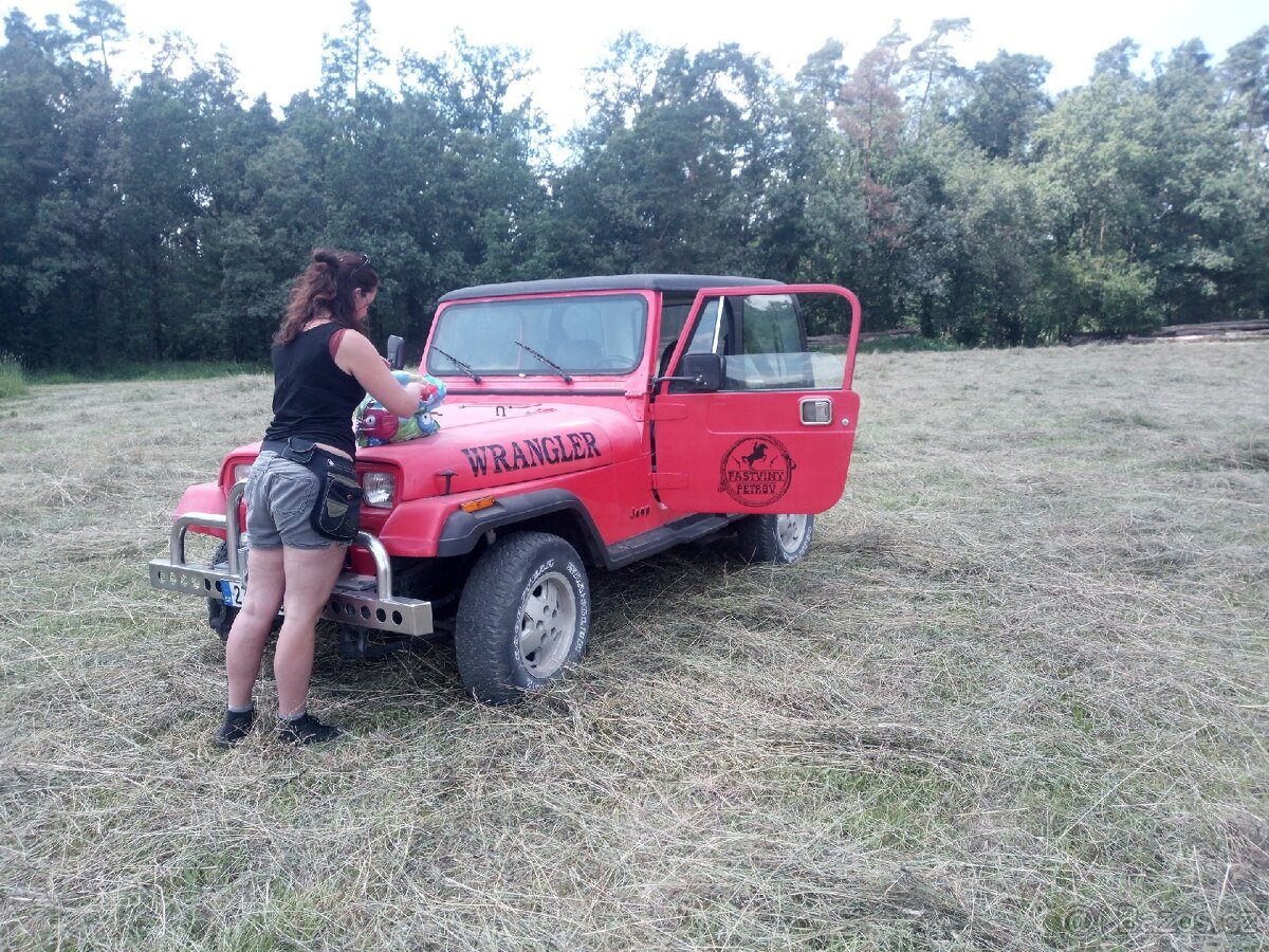 Jeep Wrangler YJ - 5