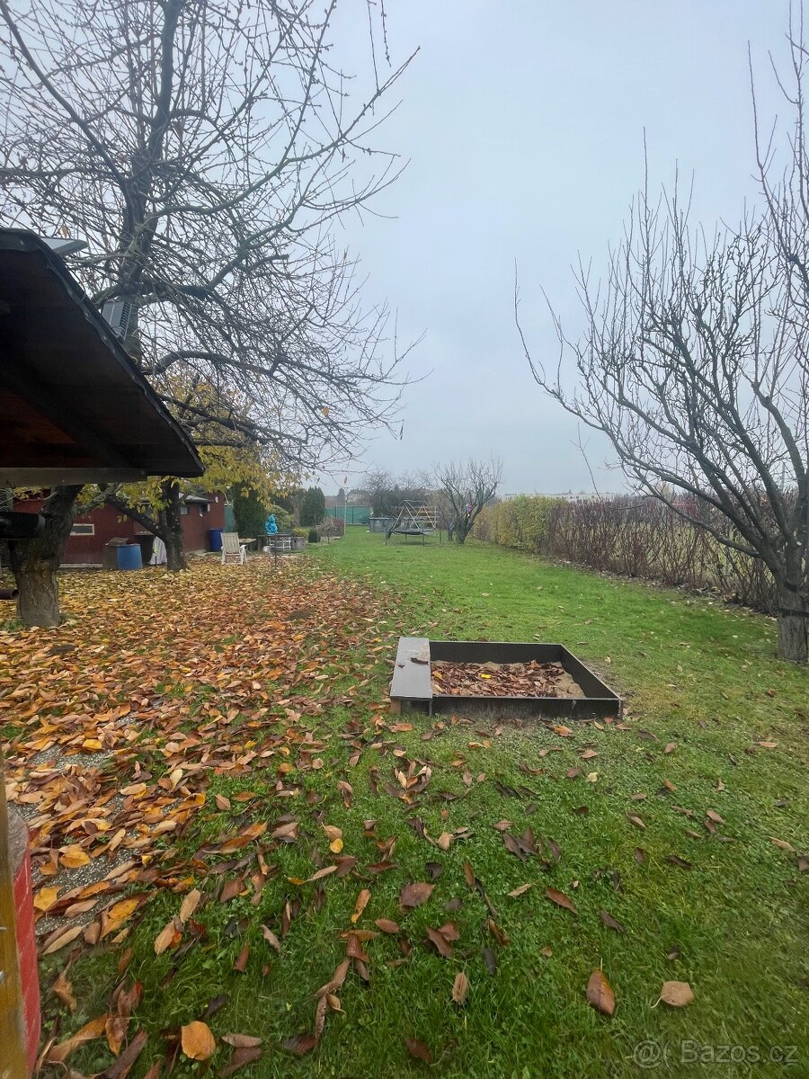 Zahrada - 5
