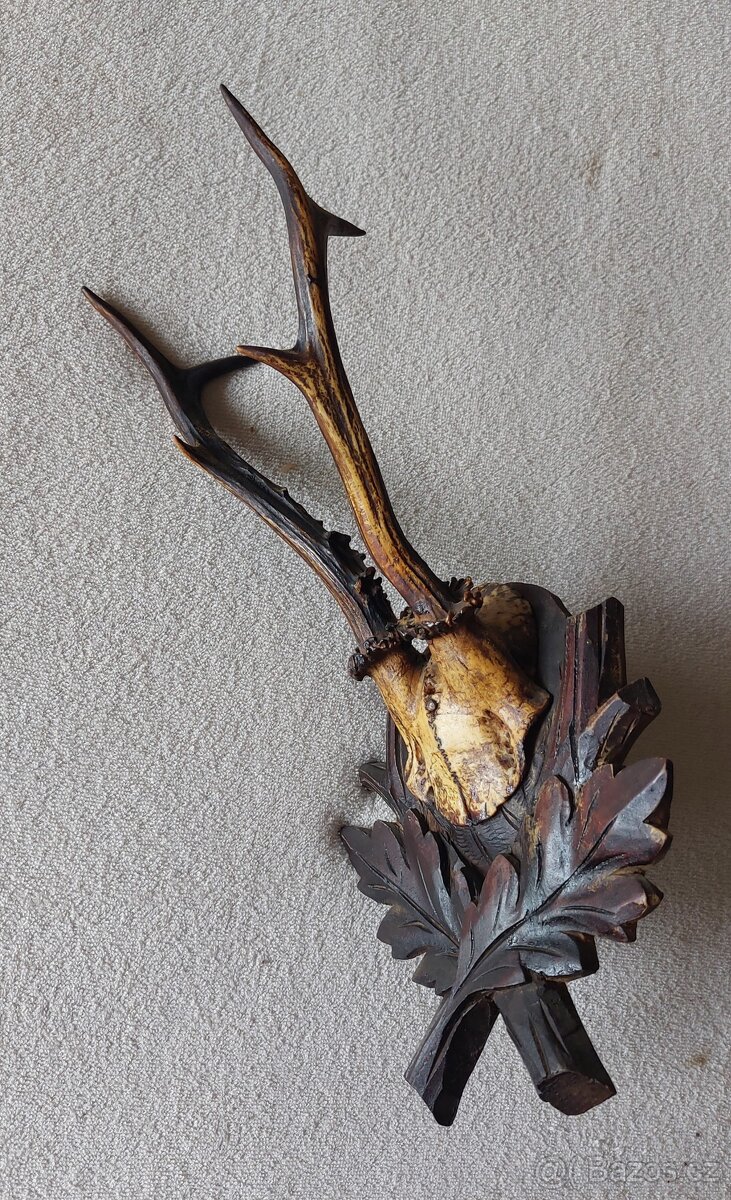 parohy a parůžky - 5