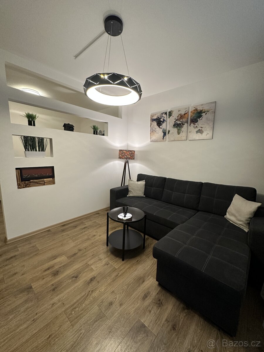 Prodám nebo vyměním byt 1+1 - úprava na 2+1 - 5