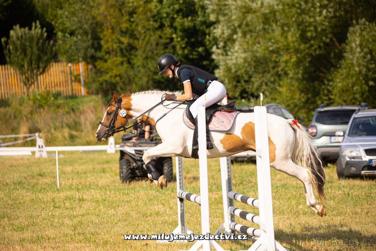 Charakterní klisna - 5