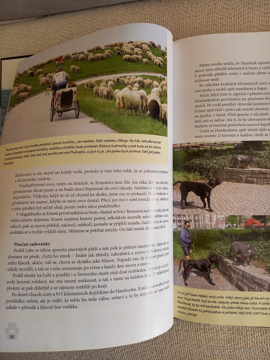 Z útulku až k moři - 5