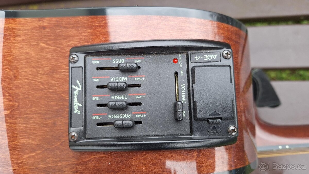 Kytara s pevným pouzdrem - 5