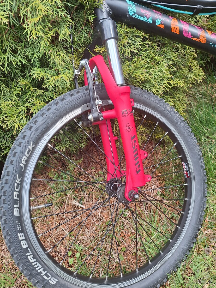 Dětské horské kolo 20 - 5