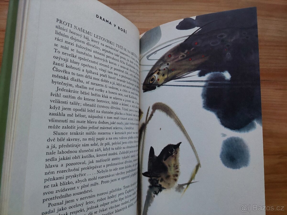 Jaromír Tomeček - Smaragdové stopy, ilustrace Mirko Hanák - 5