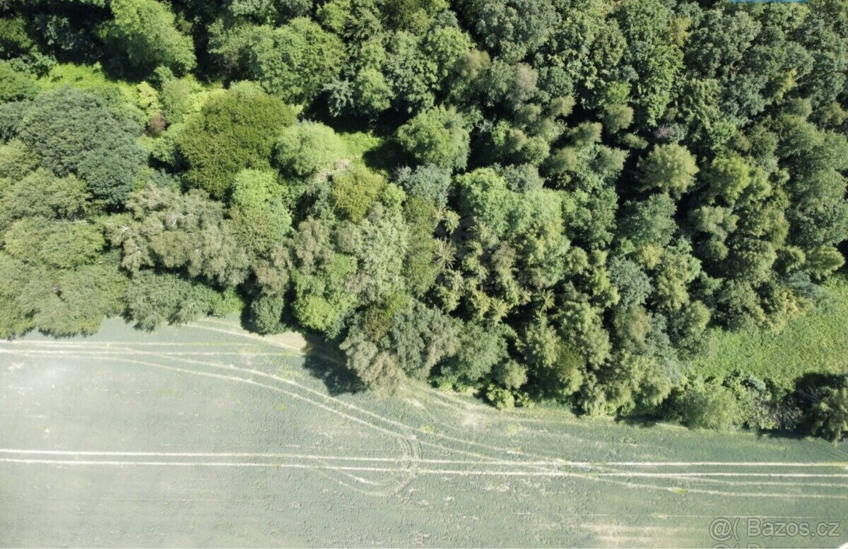 Prodej lesa pole a ostatní plochy 5160 m², Baška Hodoňovice - 5