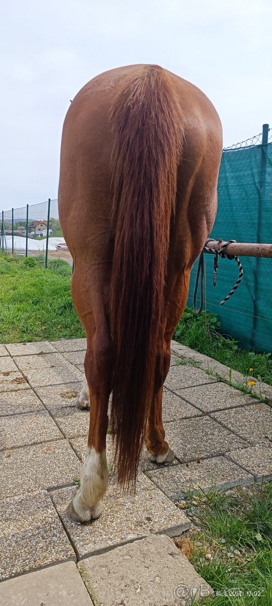 Prodej květen- červen - 5