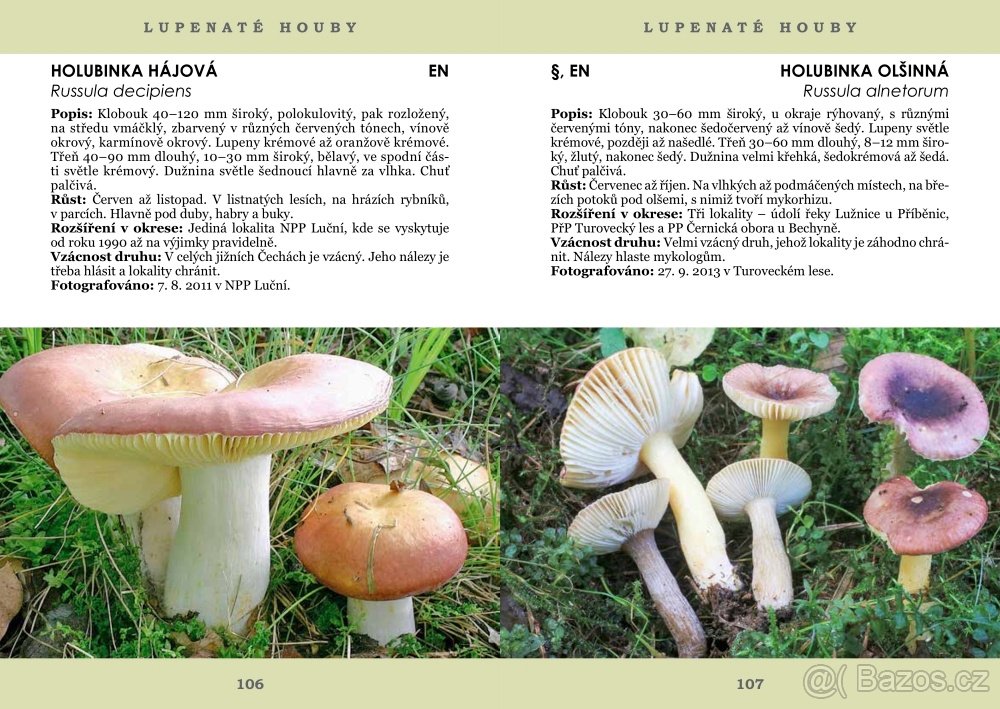 PAVEL ŠPINAR - VZÁCNÉ HOUBY TÁBORSKA - 5