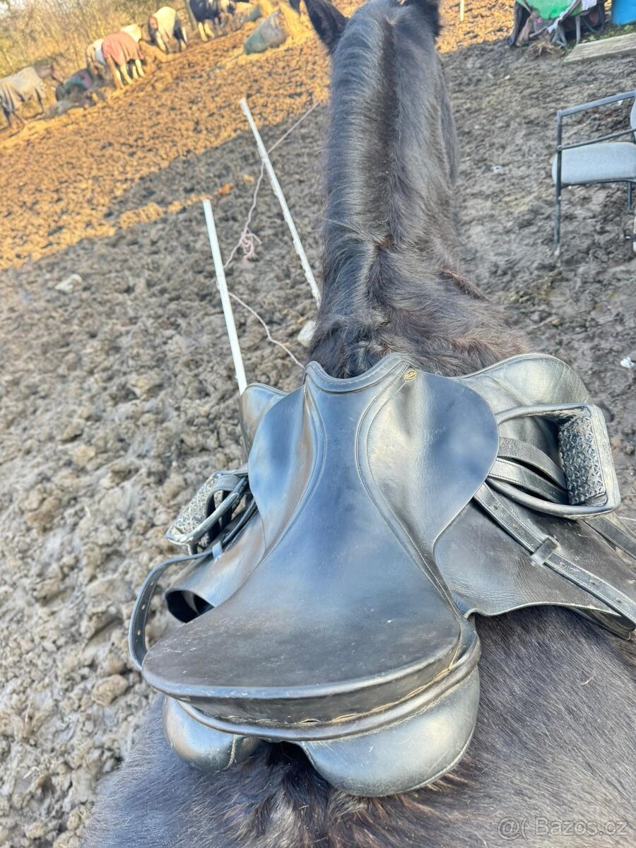 Vsestrane sedlo Kentaur - 5